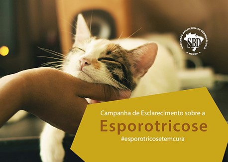 esporotricose15032018.jpg