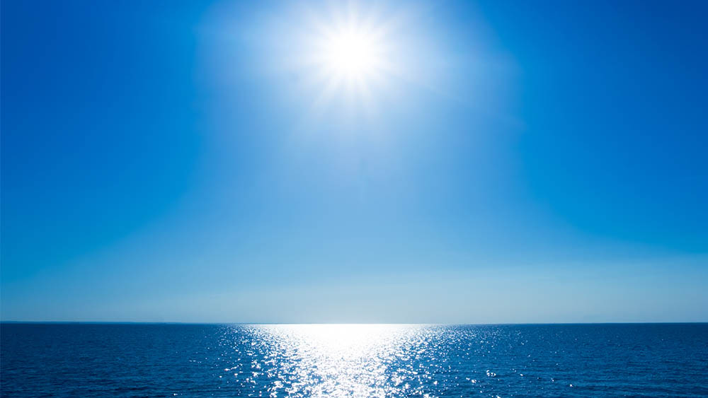 2018drauziosol-mar1010062sailorrnovembro1000x563.jpg