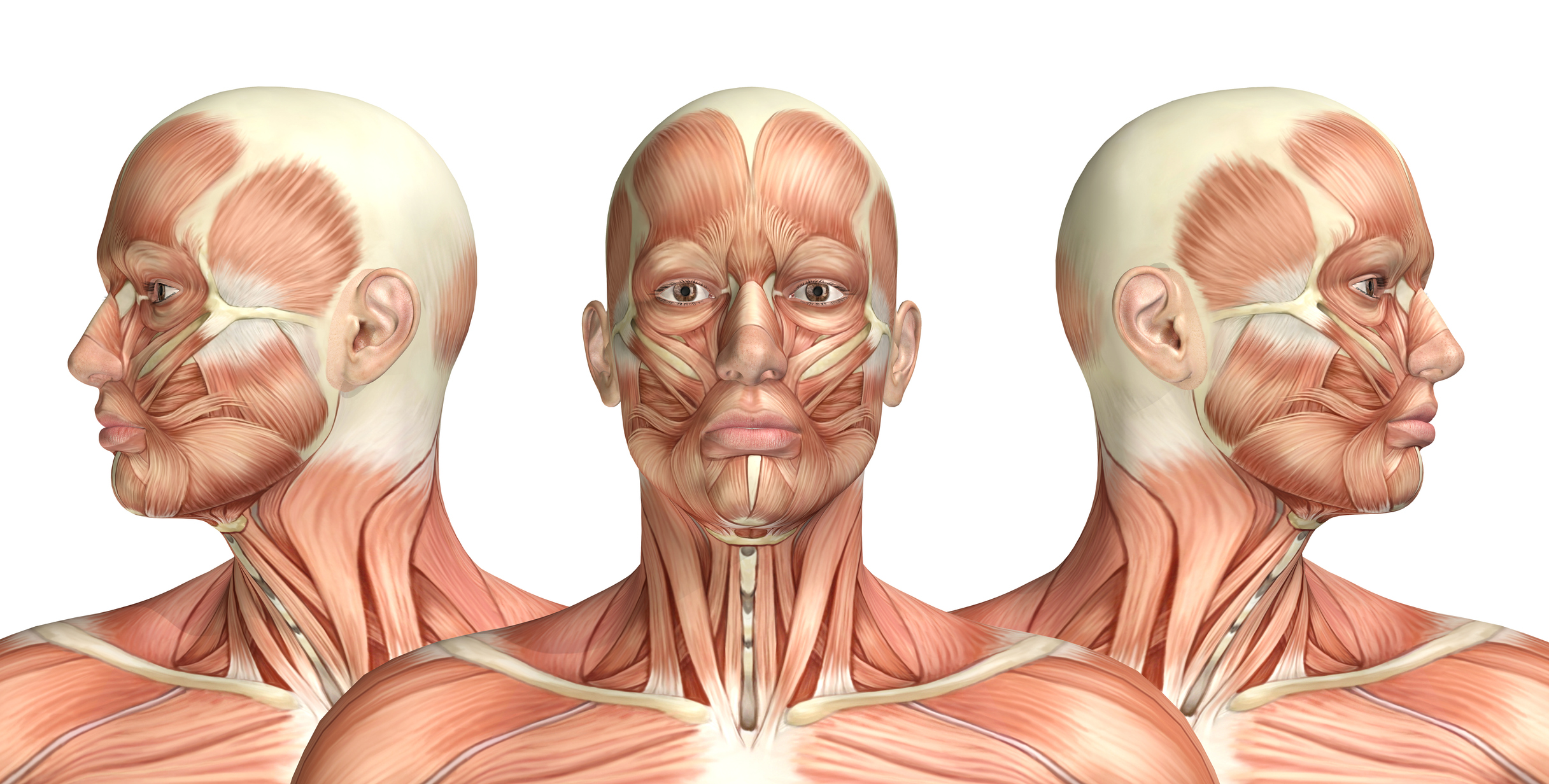 istock-492275644.jpg