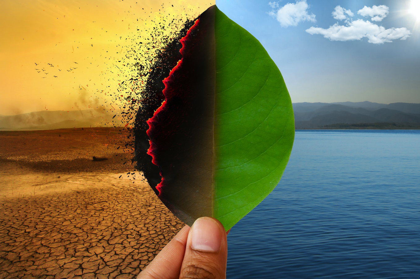 outros-olhares---mudancas-climaticas.png